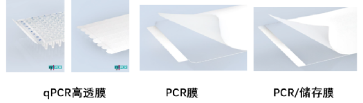 pcr管是什么一文看懂荧光定量PCR检测耗材！_https://www.jmylbn.com_新闻资讯_第8张