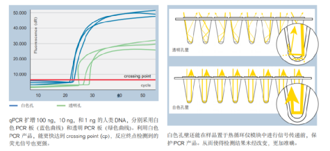 pcr管是什么一文看懂荧光定量PCR检测耗材！_https://www.jmylbn.com_新闻资讯_第4张
