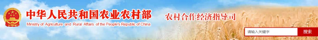 农业农村部第二批农业社会化服务典型案例征集