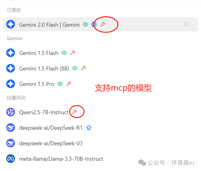 选择支持mcp的模型