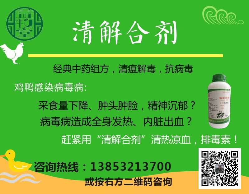 鸡舍挡风幕帘的使用以及利弊说明 家禽信息pib 微信公众号文章阅读 Wemp