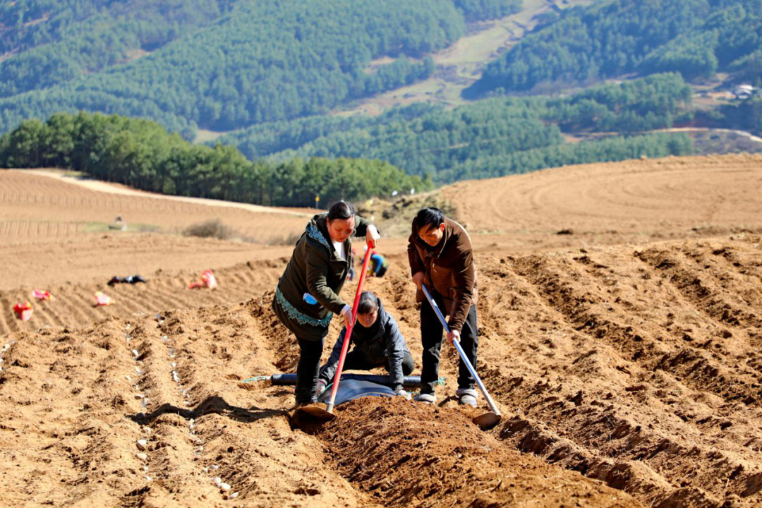 昭通人才交流中心_昭通人才网_云南昭通人才网
