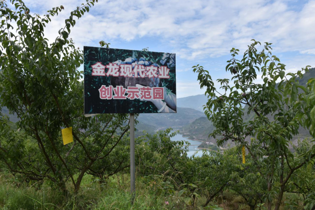 昭通人才中心网站_昭通人才交流中心_昭通人才网