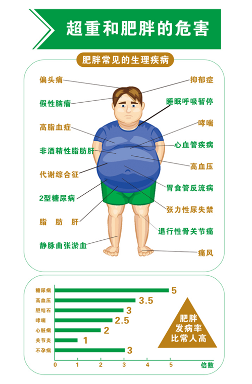 体检人体成分分析是什么【友谊体检】不要让“人体成分分析”检查做了个寂寞_https://www.jmylbn.com_新闻资讯_第12张