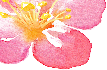 什么是电吸人流电吸人流术，你真的懂吗？_https://www.jmylbn.com_新闻资讯_第50张