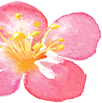 什么是电吸人流电吸人流术，你真的懂吗？_https://www.jmylbn.com_新闻资讯_第29张