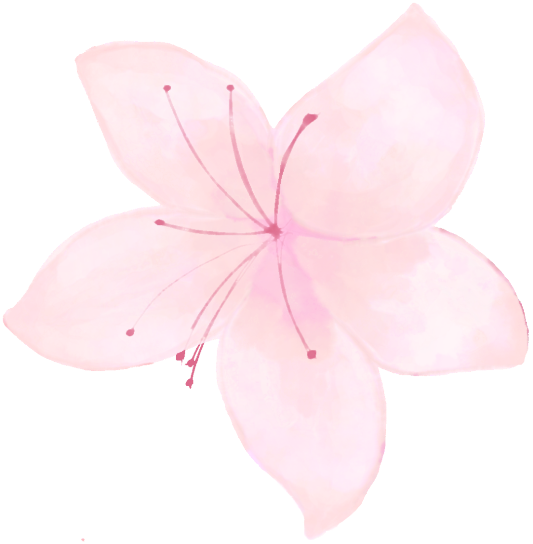 什么是电吸人流电吸人流术，你真的懂吗？_https://www.jmylbn.com_新闻资讯_第26张