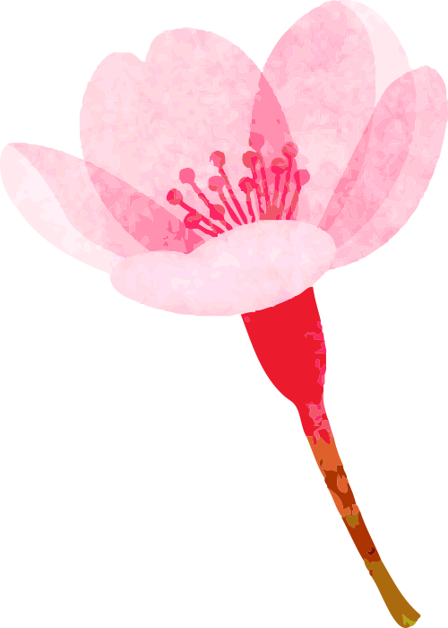 什么是电吸人流电吸人流术，你真的懂吗？_https://www.jmylbn.com_新闻资讯_第46张