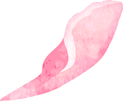 什么是电吸人流电吸人流术，你真的懂吗？_https://www.jmylbn.com_新闻资讯_第10张