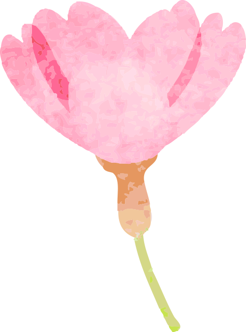 什么是电吸人流电吸人流术，你真的懂吗？_https://www.jmylbn.com_新闻资讯_第11张