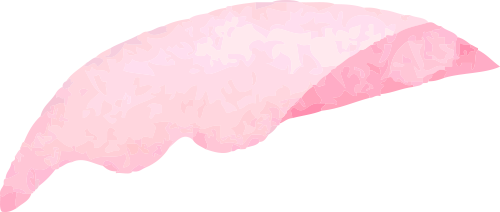 什么是电吸人流电吸人流术，你真的懂吗？_https://www.jmylbn.com_新闻资讯_第48张