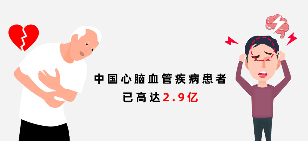 全國血管健康日|血管健康，人長壽(圖2)