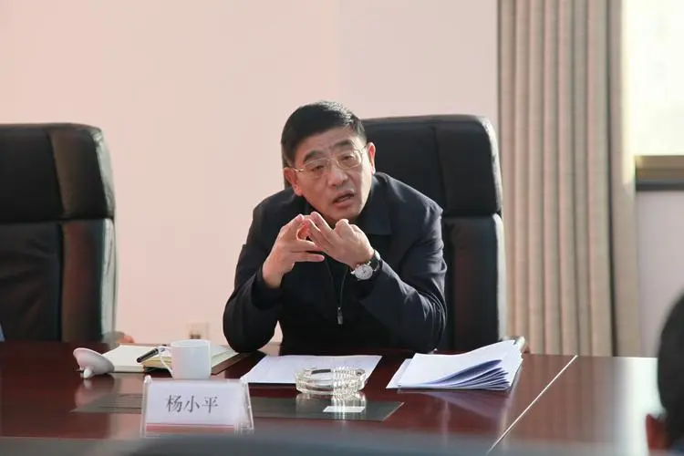 虎年首个工作日杨小平被查