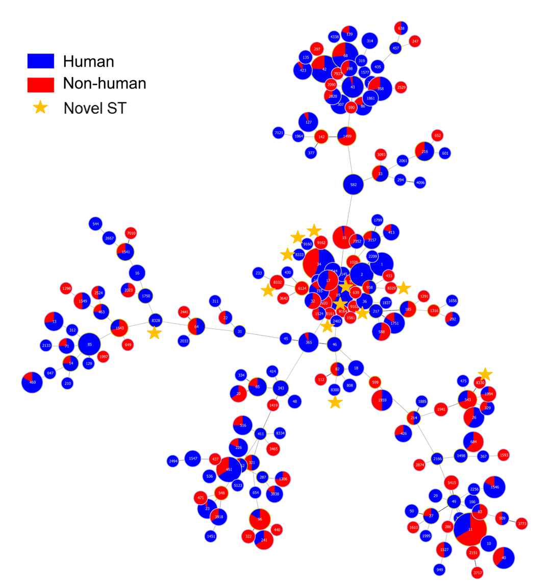 转载河南农业大学王亚楠教授在nationalsciencereview发