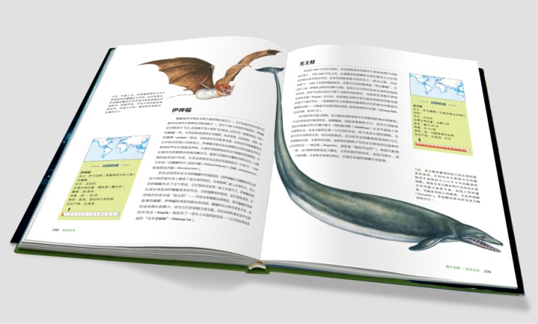 方舟双坚颌龙怎么驯_美颌龙_美颌龙的拼音怎么读