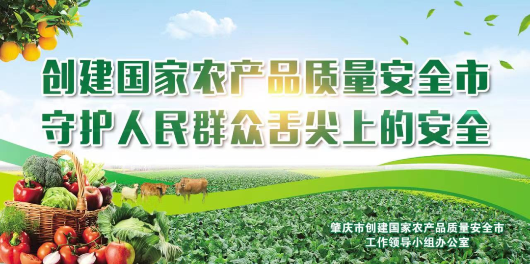 政策解读 | 《肇庆市农村人居环境治理条例》解读（二十一）(图5)