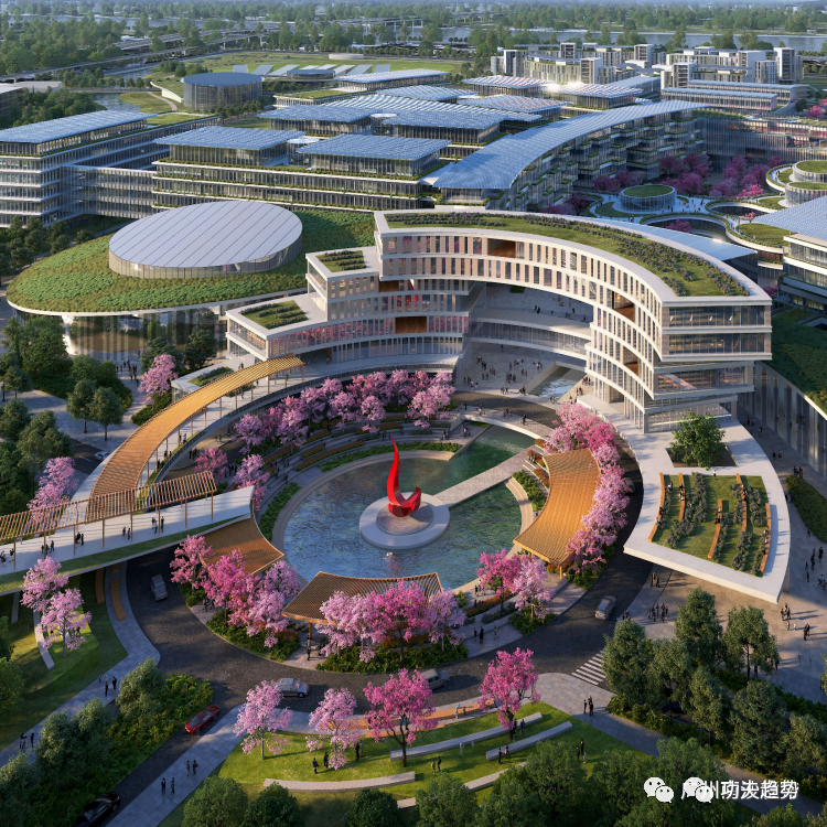 中国经济第一大省，正在疯狂建大学