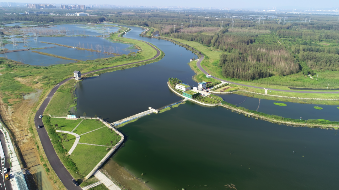 再现水清岸绿景美合肥十五里河水质实现跳跃式改善