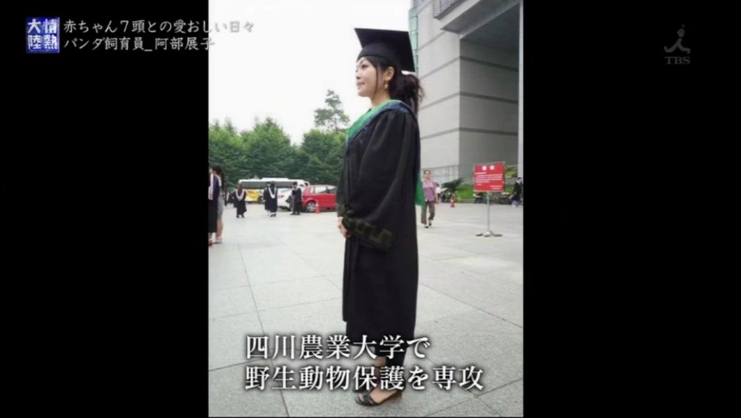 十几岁自学中文 只身来中国求学 如今这个日本姑娘终于可以亲手饲养大熊猫了 日语学习微信公众号文章