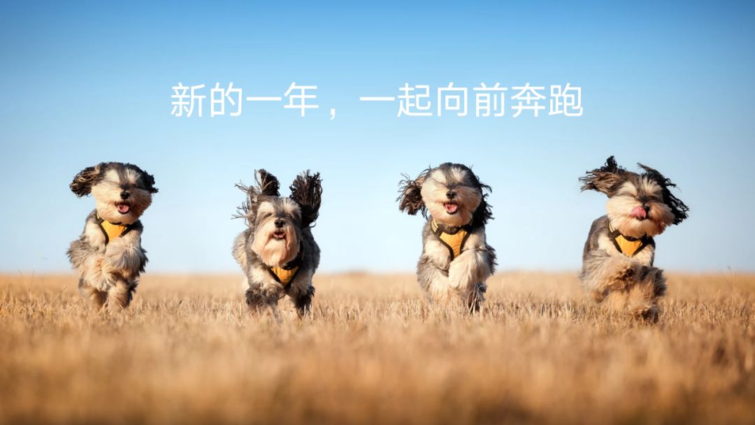 看图识别字体_手机看图识别电影_有什么看图识别番号的软件