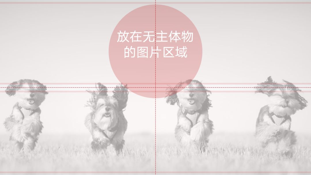 手机看图识别电影_看图识别字体_有什么看图识别番号的软件