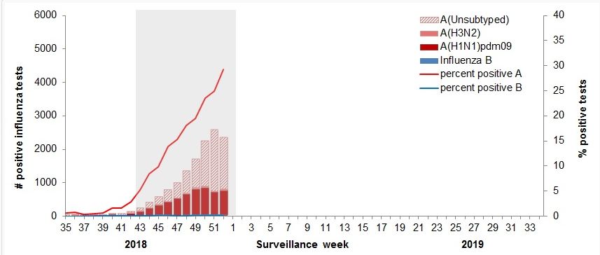 恐怖啊！5674例，119人入ICU，24人死亡！加拿大H1N1病毒殺到，全國淪陷！ 靈異 第9張