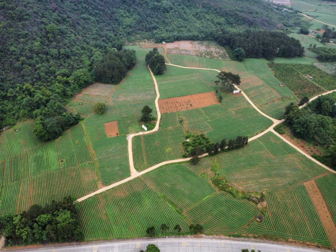 贺州市钟山县多举措推动土地开垦项目建设 新增耕地3569亩