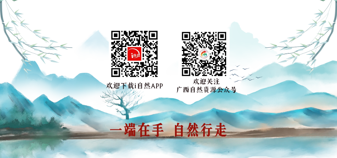 20250326改版尾 (1)确定文字二维码.png