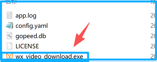 综合下载器【PC端】吾爱大佬私人定制版，“流批”！！！
