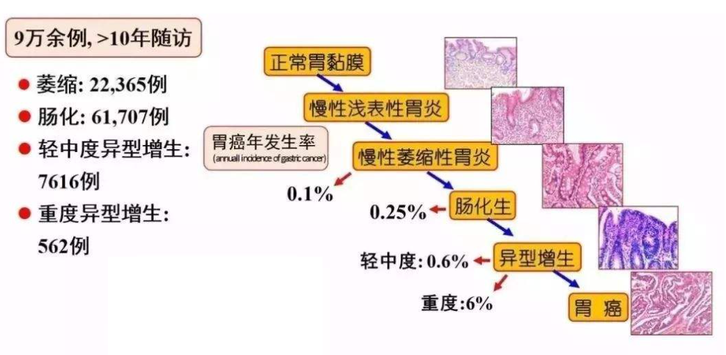 光大银行信用卡怎样注销