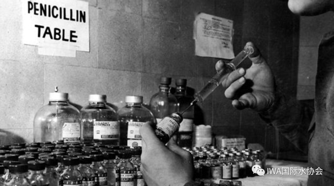 青霉素-二战的神奇药物