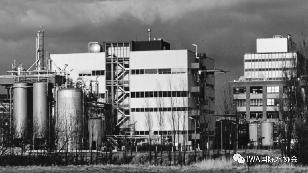 厌氧氨氧化：一个关于时间和耐心的故事-从43年前谈起