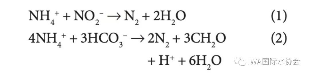 厌氧氨氧化：一个关于时间和耐心的故事-从43年前谈起