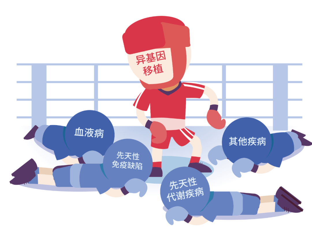 造血干细胞移植_治疗介绍_相关疾病 - 好大夫在线