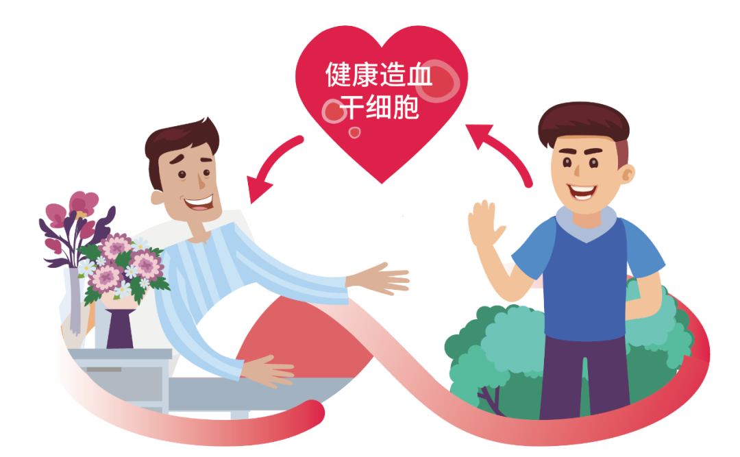 供者宣教丨怎样把健康造血干细胞从供者身体取出来? - 好大夫在线