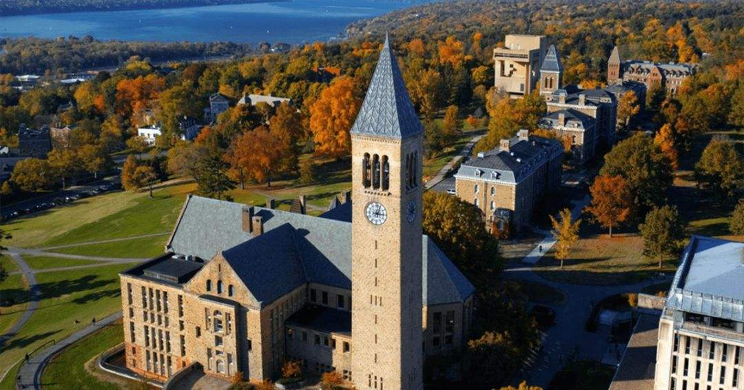 康奈尔大学访问学者陈情中国驻美使领馆,呼吁改变回国检疫等条件,助在美同胞早日回归