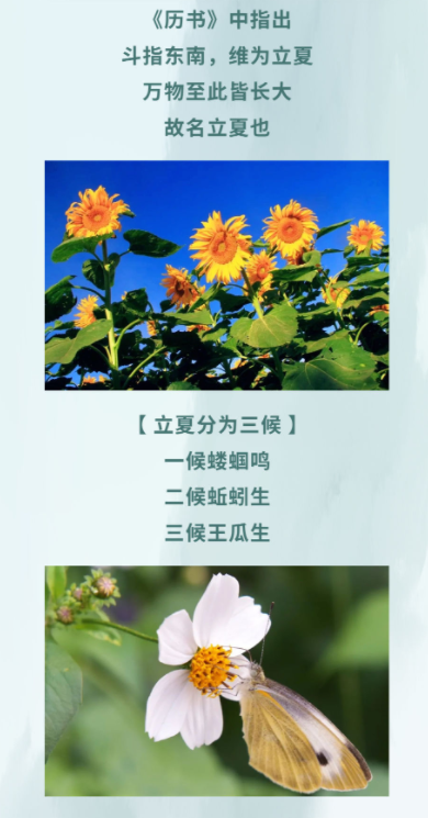 立夏 | 养生药膳，固肾养阳、养心补气血