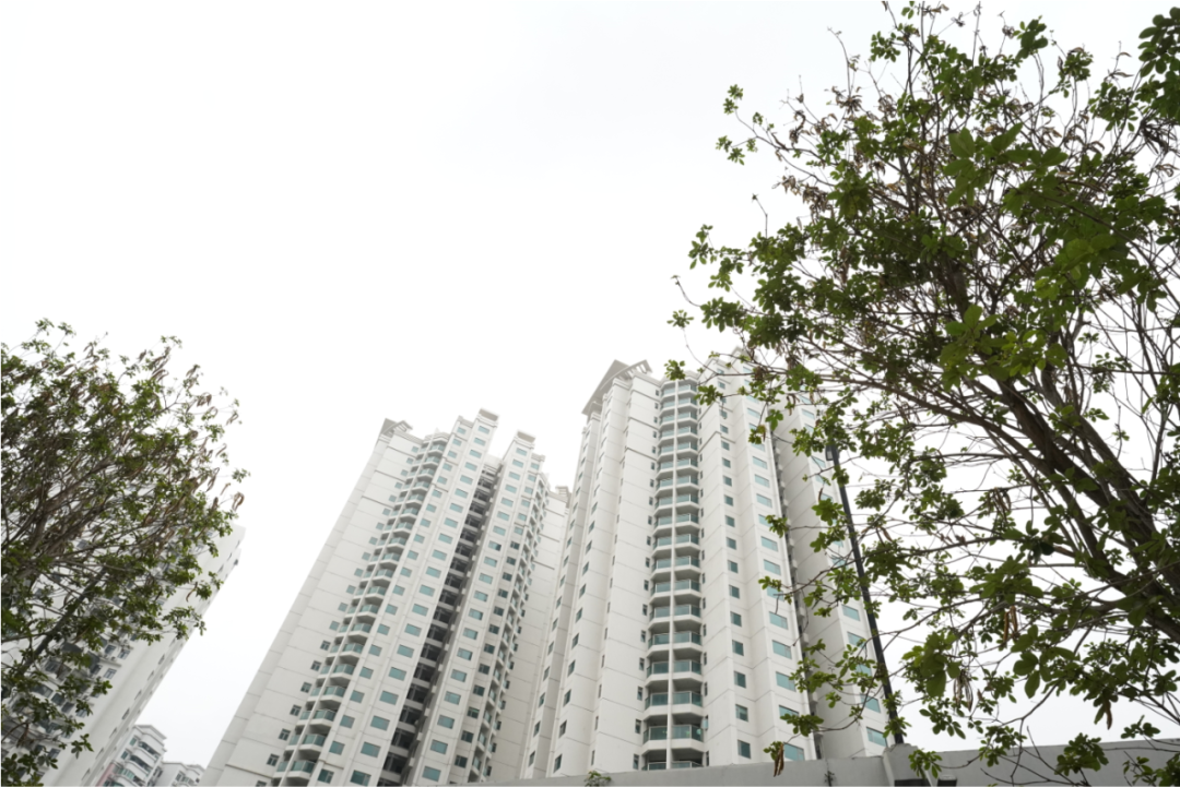 海珠滨江东【 明珠花园】现楼发售，总价4字头？