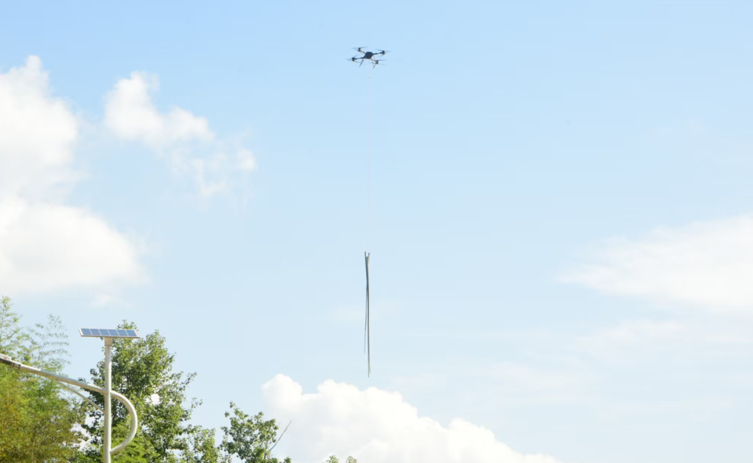 桂林乡：“竹山物业代管”促林改提质增效