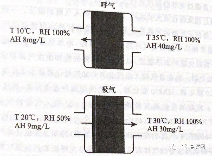 湿化液是什么气道湿化 —— 从生理到实践_https://www.jmylbn.com_新闻资讯_第11张