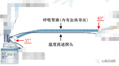 湿化液是什么气道湿化 —— 从生理到实践_https://www.jmylbn.com_新闻资讯_第8张