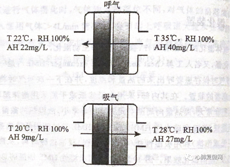 湿化液是什么气道湿化 —— 从生理到实践_https://www.jmylbn.com_新闻资讯_第10张