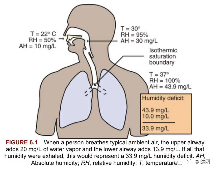湿化液是什么气道湿化 —— 从生理到实践_https://www.jmylbn.com_新闻资讯_第3张