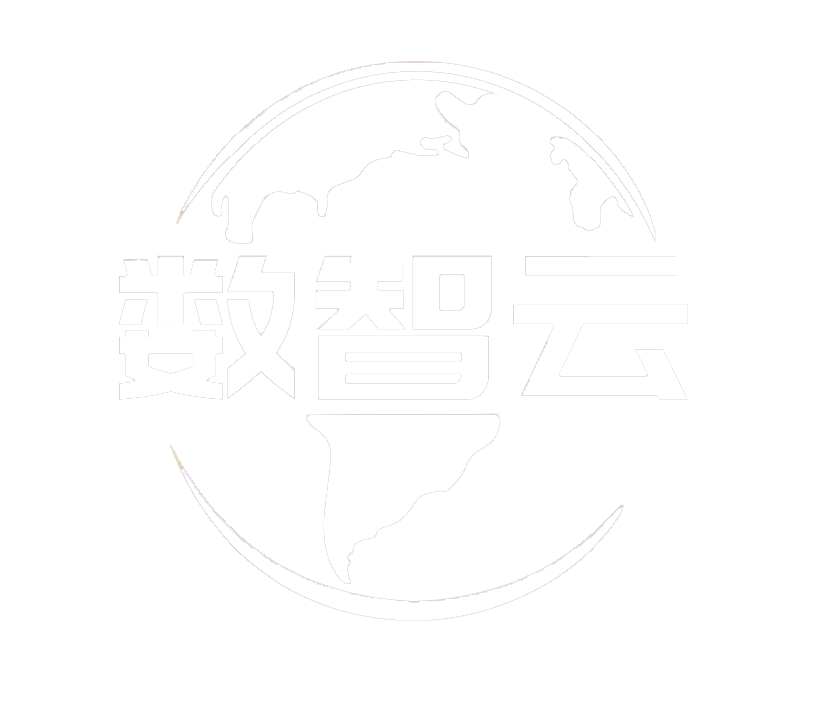 数智云网络