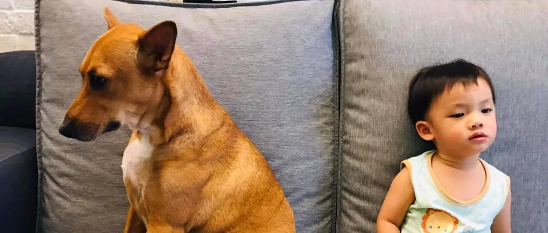 “我家俩小孩突然闹了矛盾，坐在沙发上谁也不理谁......”