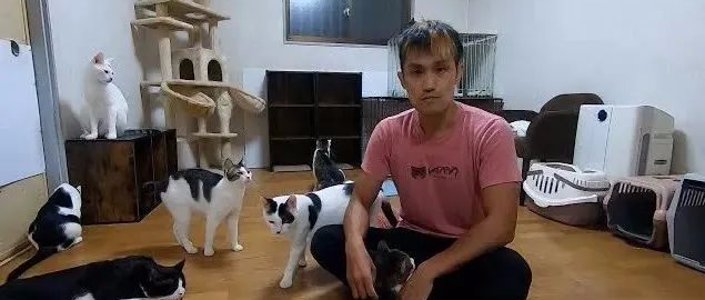 “我见义勇为救猫，却被全国人民嘲笑了......”