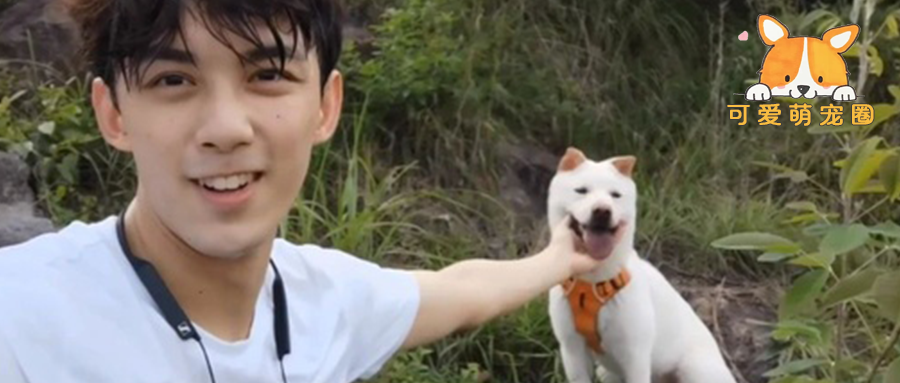 吴磊给狗子拍照崩溃上热搜…网友：像极了卑微的我本人