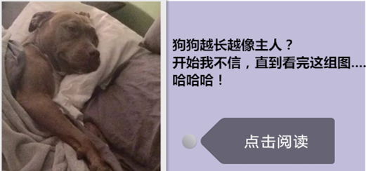 怎么办?我家猫是个嘤嘤怪!网友:别说了,我已经开始自责了-微信头条网 怎么办?我家猫是个嘤嘤怪!网友:别说了,我已经开始自责了