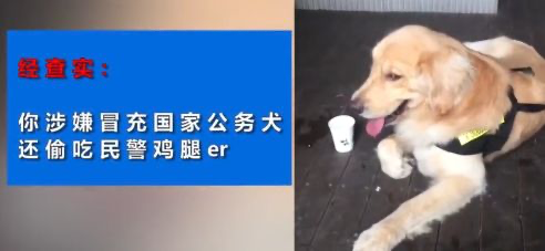 金毛冒充「警犬」騙吃騙喝，售貨機都快吃空了，警察叔叔：有點崩潰 寵物 第3張