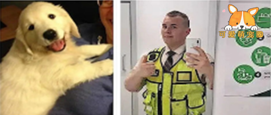 超市禁止带狗！主人命令它在大雨等待！保安这一举动，十万网友点赞！